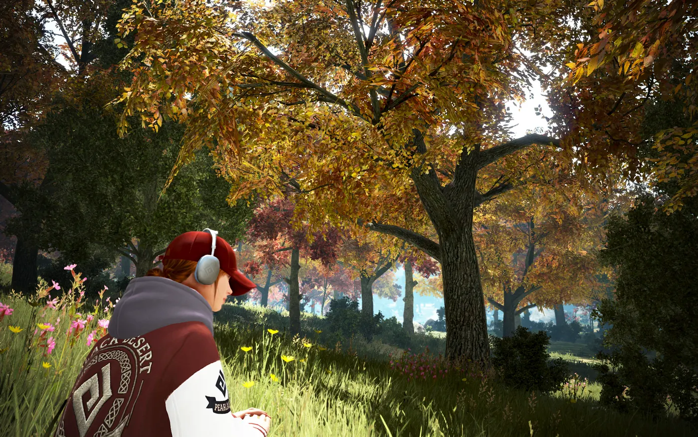 An Adventurer sits beneath autumn-coloured trees near a major city